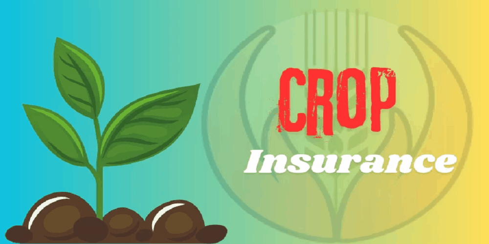 CSC Crop Insurance: Simplifying Financial Security for Farmers